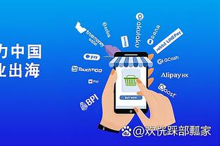 开云app官网入口中国网截图1
